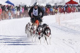 Lenk 2013